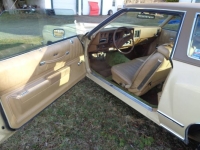 1977 Chevrolet Monte Carlo for sale in Michigan (ID-163458)