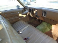 1977 Chevrolet Monte Carlo for sale in Michigan (ID-163458)