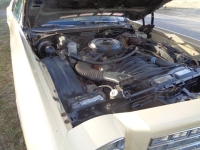 1977 Chevrolet Monte Carlo for sale in Michigan (ID-163458)