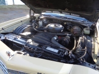 1977 Chevrolet Monte Carlo for sale in Michigan (ID-163458)