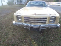 1977 Chevrolet Monte Carlo for sale in Michigan (ID-163458)