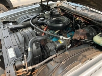 1977 Chevrolet Monte Carlo for sale in Michigan (ID-164541)