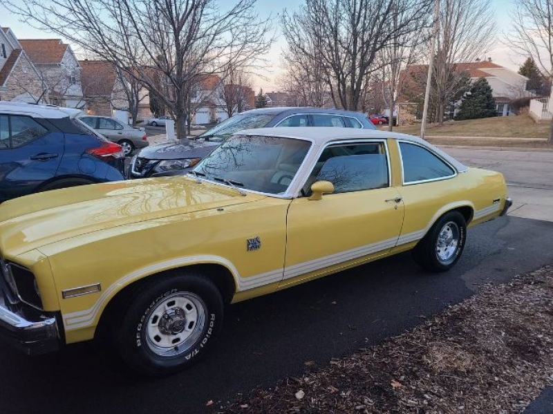 1977 Chevrolet Nova for sale in Michigan (ID-112093)
