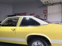 1977 Chevrolet Nova for sale in Michigan (ID-112093)