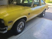1977 Chevrolet Nova for sale in Michigan (ID-112093)