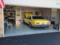 1977 Chevrolet Nova for sale in Michigan (ID-112093)