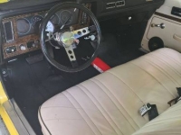 1977 Chevrolet Nova for sale in Michigan (ID-112093)