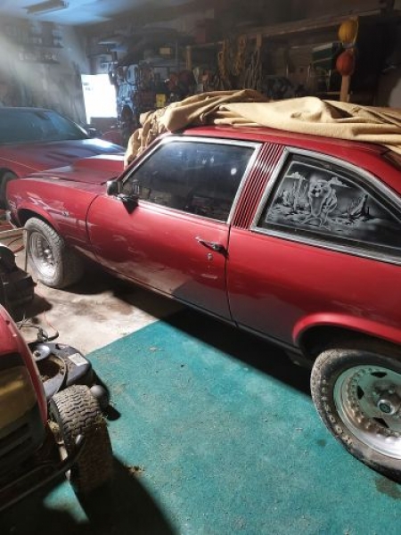 1977 Chevrolet Nova for sale in Michigan (ID-117221)