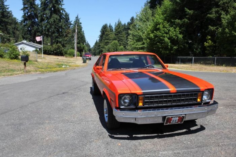 1977 Chevrolet Nova for sale in Michigan (ID-124788)