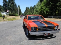 1977 Chevrolet Nova for sale in Michigan (ID-124788)