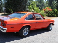 1977 Chevrolet Nova for sale in Michigan (ID-124788)