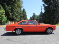 1977 Chevrolet Nova for sale in Michigan (ID-124788)