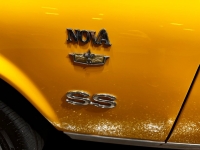 1977 Chevrolet Nova for sale in Addison, Illinois (ID-126884)