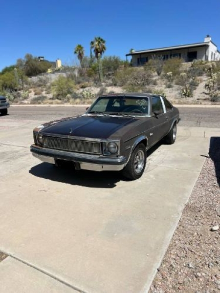 1977 Chevrolet Nova for sale in Michigan (ID-130435)