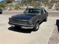 1977 Chevrolet Nova for sale in Michigan (ID-130435)