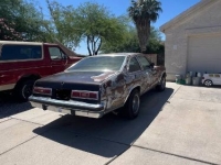 1977 Chevrolet Nova for sale in Michigan (ID-130435)