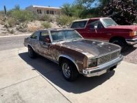 1977 Chevrolet Nova for sale in Michigan (ID-130435)