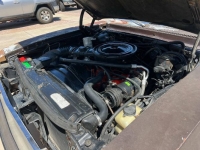 1977 Chevrolet Nova for sale in Michigan (ID-130435)