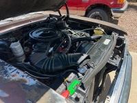 1977 Chevrolet Nova for sale in Michigan (ID-130435)
