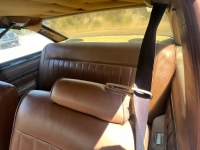 1977 Chevrolet Nova for sale in Michigan (ID-130435)