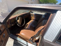 1977 Chevrolet Nova for sale in Michigan (ID-130435)