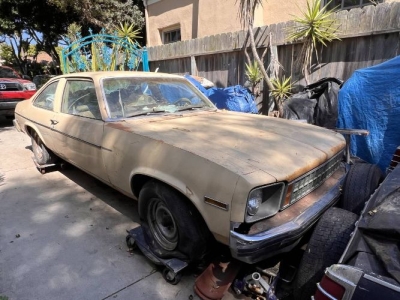 1977 Chevrolet Nova for sale