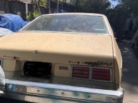 1977 Chevrolet Nova for sale in Michigan (ID-131008)
