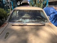 1977 Chevrolet Nova for sale in Michigan (ID-131008)
