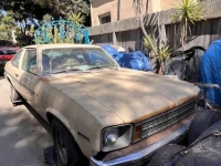 1977 Chevrolet Nova for sale in Michigan (ID-131008)