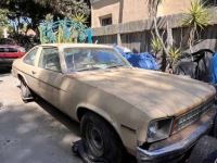 1977 Chevrolet Nova for sale in Michigan (ID-131008)