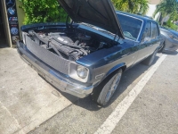 1977 Chevrolet Nova for sale in Michigan (ID-145675)