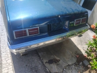 1977 Chevrolet Nova for sale in Michigan (ID-145675)