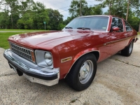 1977 Chevrolet Nova for sale in Michigan (ID-155928)