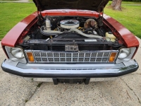 1977 Chevrolet Nova for sale in Michigan (ID-155928)