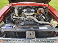 1977 Chevrolet Nova for sale in Michigan (ID-155928)