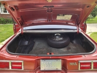 1977 Chevrolet Nova for sale in Michigan (ID-155928)