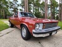 1977 Chevrolet Nova for sale in Michigan (ID-155928)