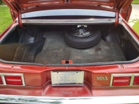 1977 Chevrolet Nova for sale in Michigan (ID-155928)