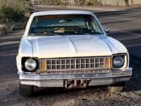 1977 Chevrolet Nova for sale in Michigan (ID-161085)