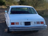 1977 Chevrolet Nova for sale in Michigan (ID-161085)