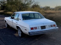1977 Chevrolet Nova for sale in Michigan (ID-161085)