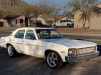 1977 Chevrolet Nova for sale in Michigan (ID-161085)