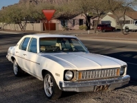 1977 Chevrolet Nova for sale in Michigan (ID-161085)