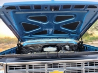 1977 Chevrolet Pickup for sale in Michigan (ID-117169)