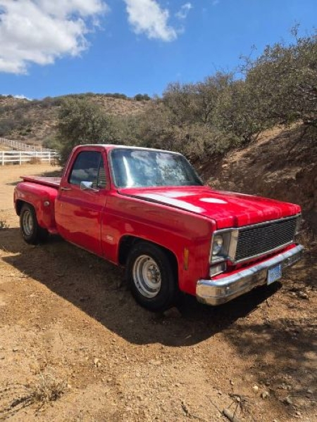 1977 Chevrolet Pickup for sale in Michigan (ID-146052)