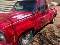 1977 Chevrolet Pickup for sale in Michigan (ID-146052)