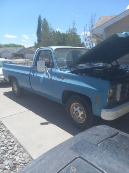 1977 Chevrolet Scottsdale for sale in Michigan (ID-110559)