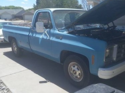1977 Chevrolet Scottsdale for sale