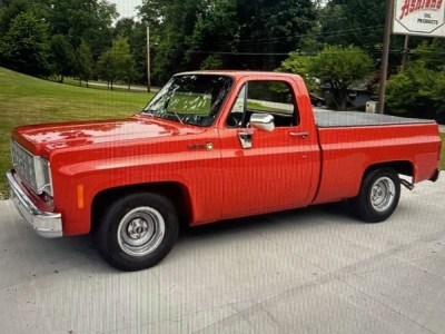 1977 Chevrolet Scottsdale for sale