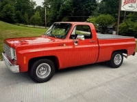 1977 Chevrolet Scottsdale for sale in Michigan (ID-134951)